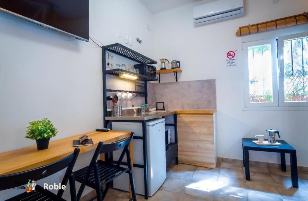 Appartement La Casa Del Druida II à Málaga Extérieur photo